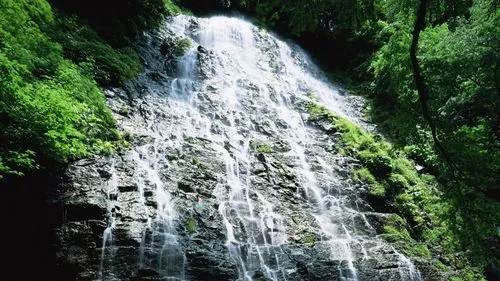 高端独特高精度
